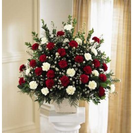 The Devotion Arrangement